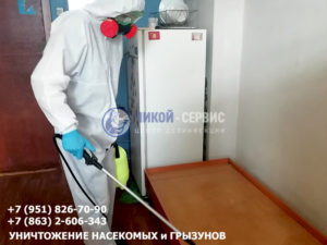Уничтожение клопов в Ростове от Чикой-Сервис - фотография