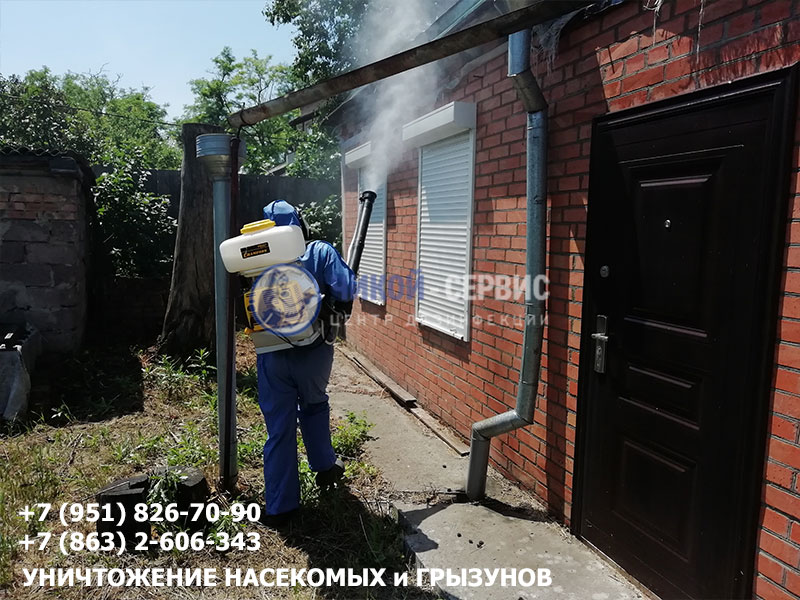 Профессиональная обработка ос и шершней в Ростовской области - картинка Чикой Сервис