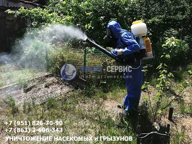 Профессиональное уничтожение мух в Ростове - фото от дезинсекторов Чикой Сервис