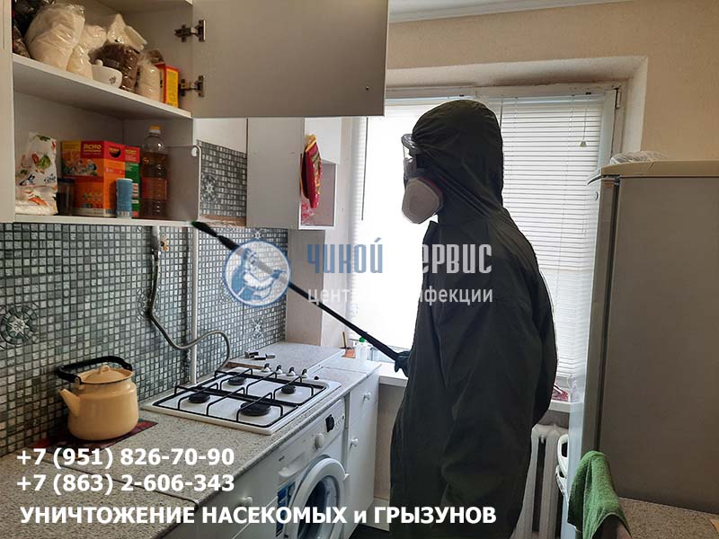 Как эффективно избавиться от тараканов навсегда в Ростове - фото Чикой-Сервис