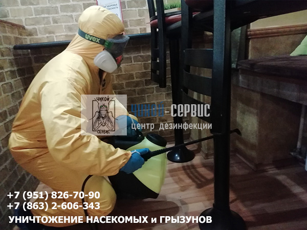 Фотография дезинфекции и дезинсекции общепита в Ростове от Чикой-Сервис