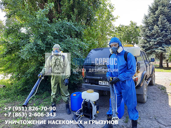 Профессиональная обработка от комаров и клещей в Ростове - фото Чикой-Сервис