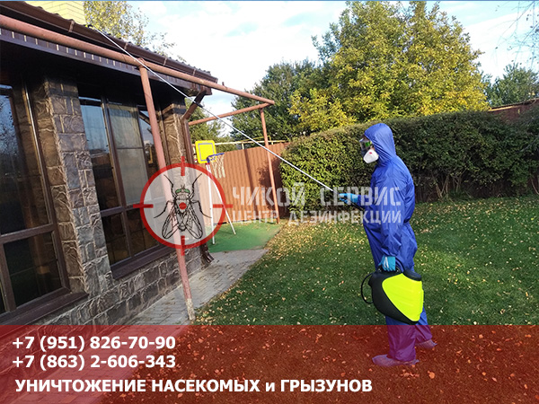 Фотография квалифицированной обработки ос и шершней в Ростовской области дезинсектором Чикой Сервис