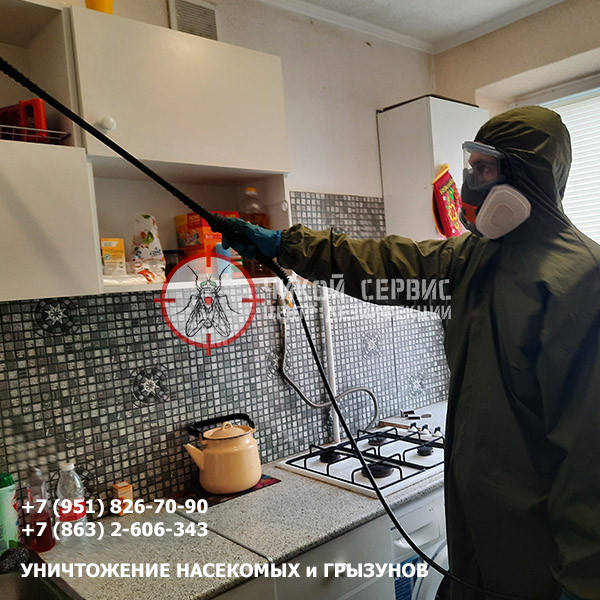 Профессиональная обработка от тараканов в Новошахтинске - картинка Чикой Сервис