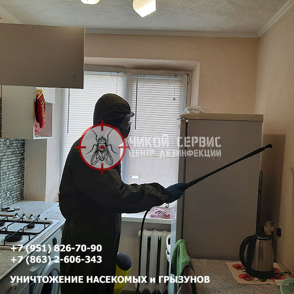 Профессиональное уничтожение тараканов на кухне в Донецке - картинка Чикой Сервис