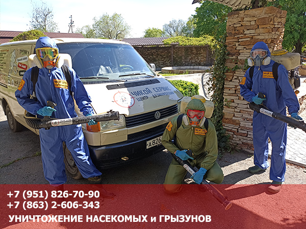 Профессиональная бригада по обработке от клещей в Ростове и области от Чикой Сервис