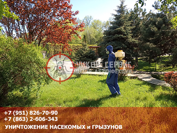 Профессиональная обработка парка от клещей в Ростове-на-Дону - фотография Чикой Сервис