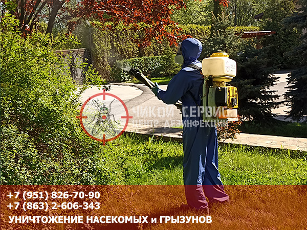 Фотография обработки парка от клещей центром дезинфекции Чикой Сервис в Ростове-на-Дону
