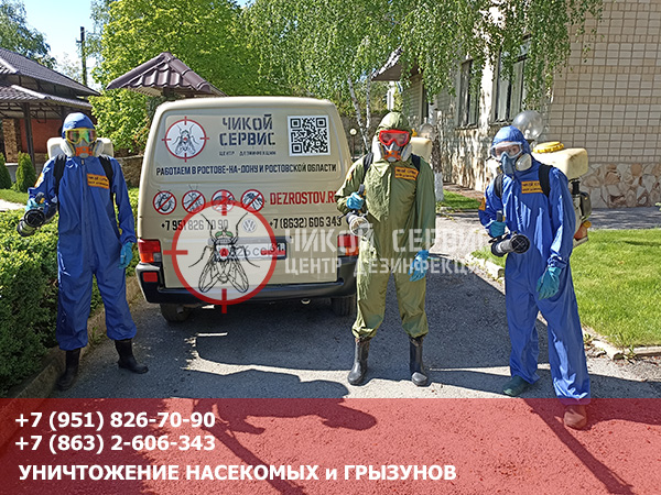 Профессиональная служба по уничтожению насекомых и грызунов в Константиновске - фото Чикой Сервис