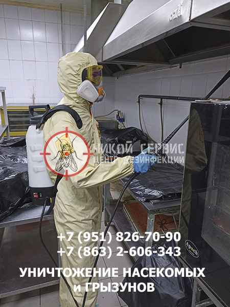 Проведение обработки ресторана от тараканов в Ростове-на-Дону - фото Чикой Сервис