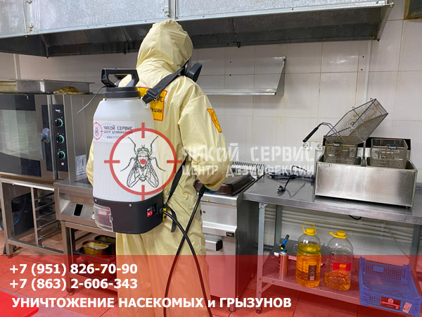 Профессиональная травля тараканов в Ростове - фотография сертифицированной СЭС Чикой Сервис