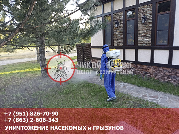 Когда обрабатывать участок от клещей весной - фото СЭС Чикой Сервис в Ростове