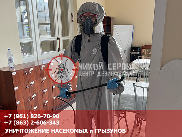 Профессиональная дезинфекция помещений специалистом центра «Чикой Сервис» в станице Крыловской Краснодарского края