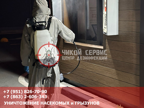 Специалист выполняет обработку помещения от тараканов, клопов и других насекомых в Крыловской